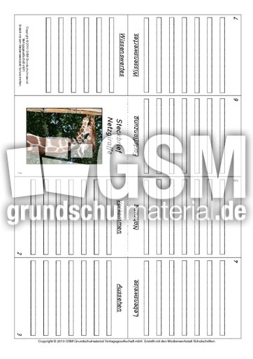 Faltbuch-Netzgiraffe.pdf